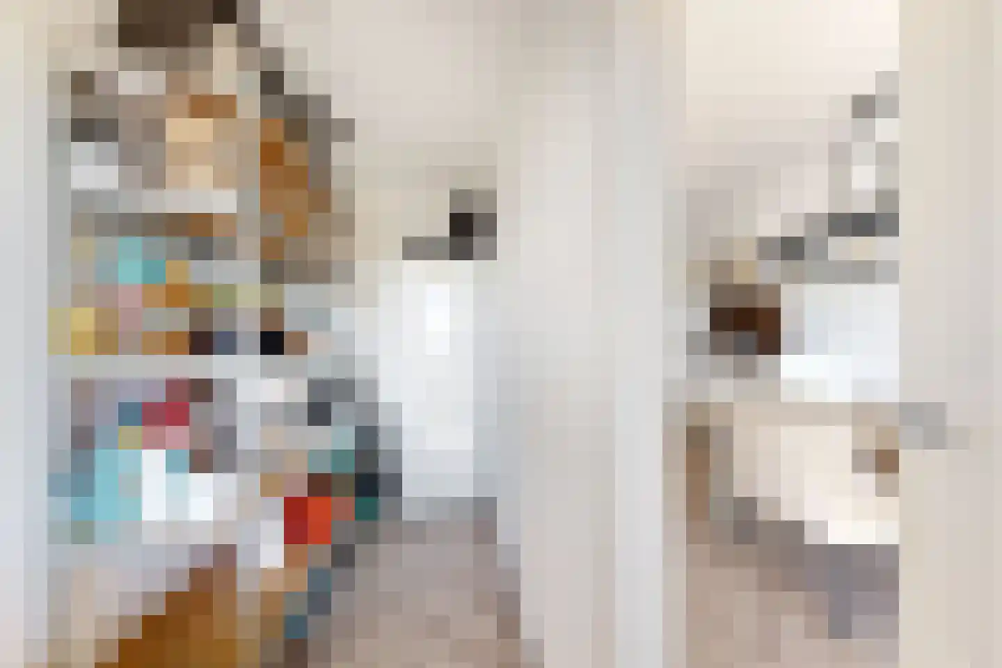 Kadedijk 104 a Fijnaart thumbnail 32