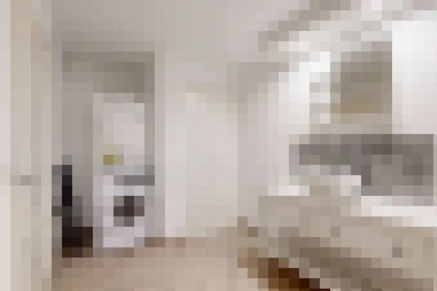 Kadedijk 104 a Fijnaart thumbnail 36