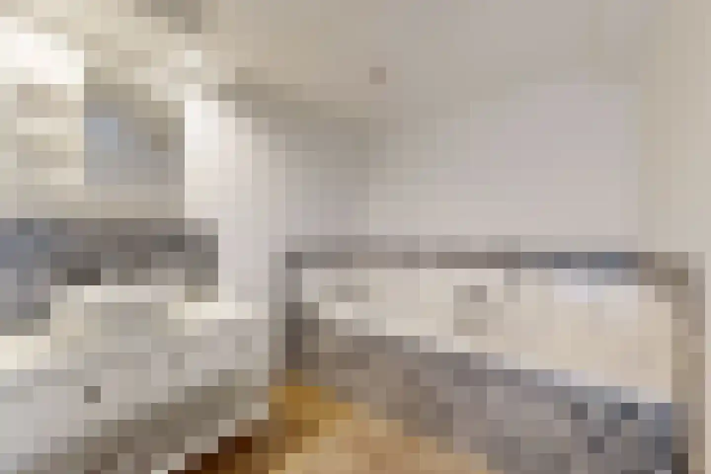 Kadedijk 104 a Fijnaart thumbnail 5