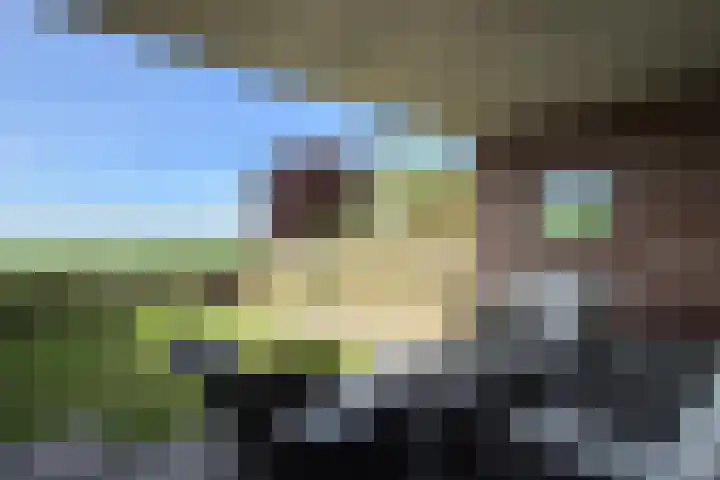 Kadedijk 108 a Fijnaart thumbnail 57