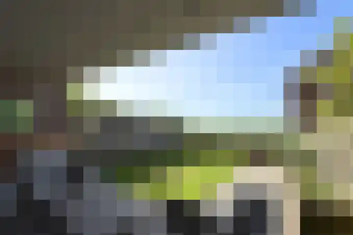 Kadedijk 108 a Fijnaart thumbnail 58