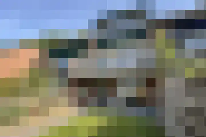 Kadedijk 108 a Fijnaart thumbnail 60