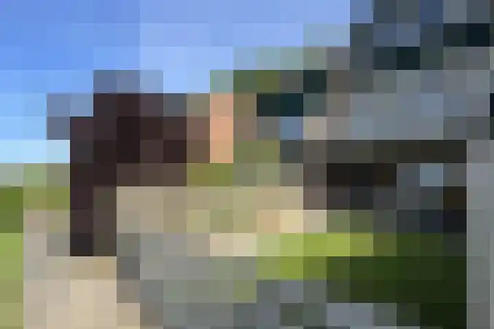 Kadedijk 108 a Fijnaart thumbnail 61