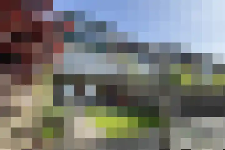 Kadedijk 108 a Fijnaart thumbnail 62