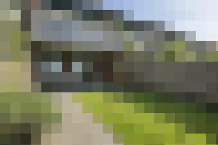 Kadedijk 108 a Fijnaart thumbnail 63