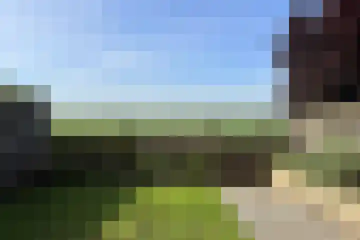 Kadedijk 108 a Fijnaart thumbnail 64