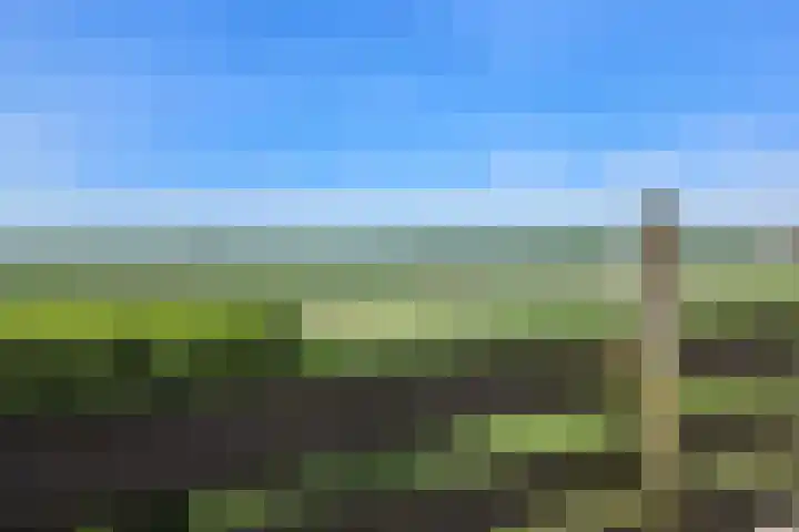 Kadedijk 108 a Fijnaart thumbnail 65