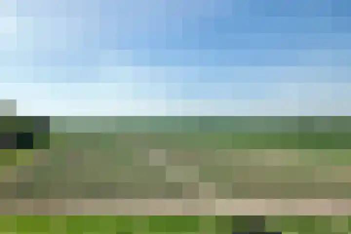 Kadedijk 108 a Fijnaart thumbnail 66