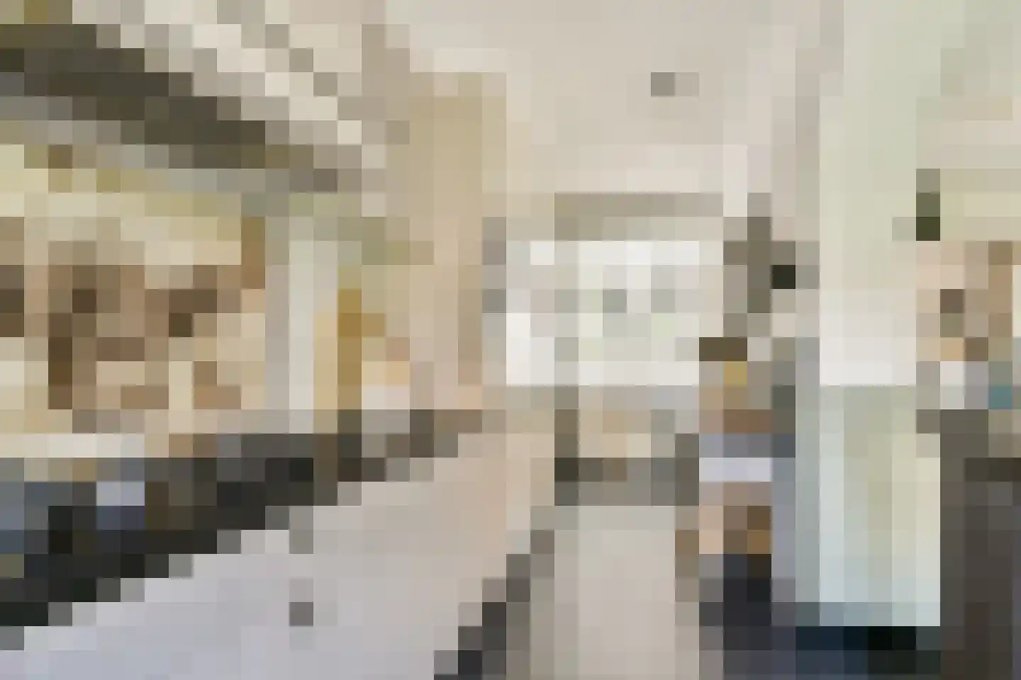 Kadedijk 116 Fijnaart thumbnail 10