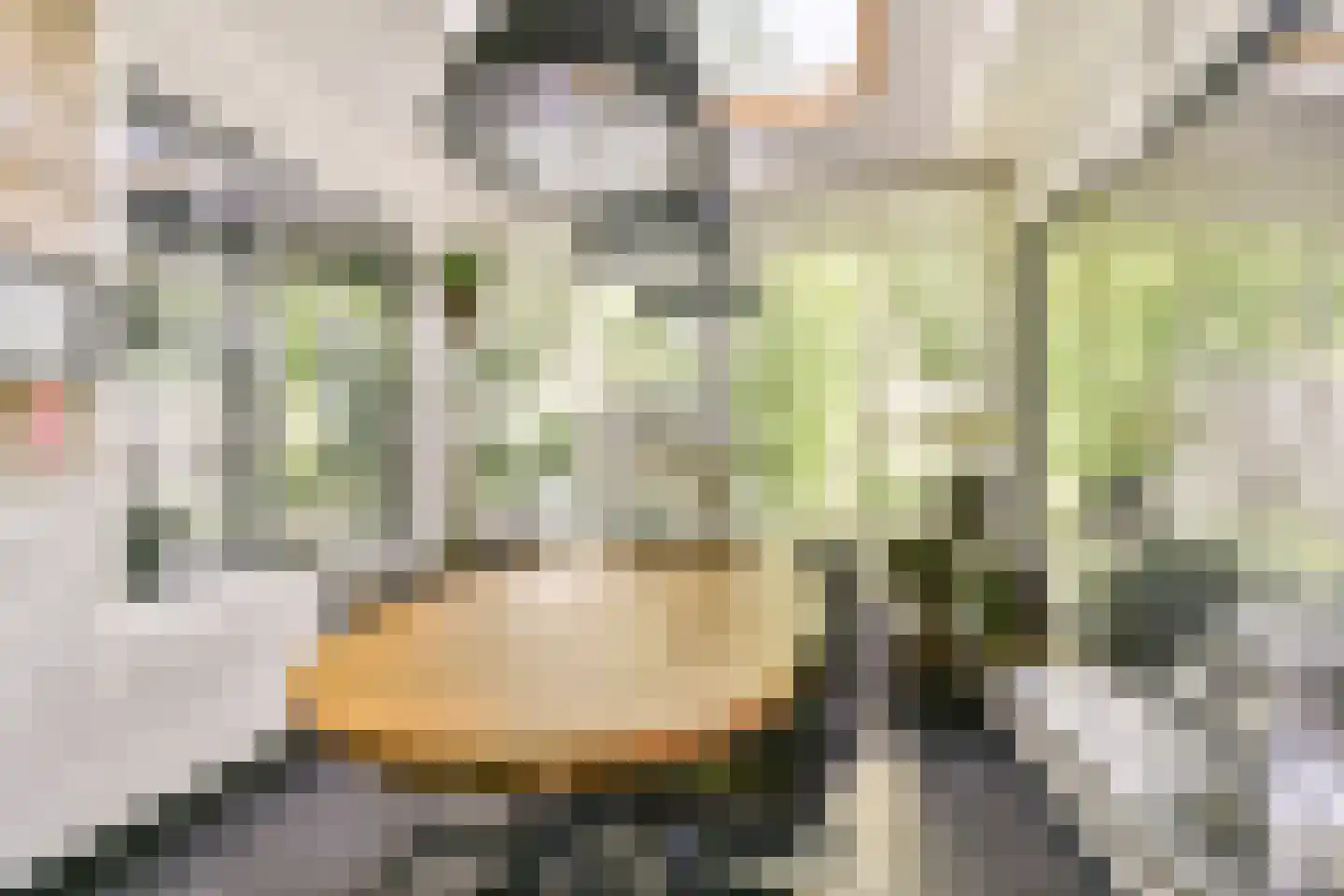 Kadedijk 116 Fijnaart thumbnail 12