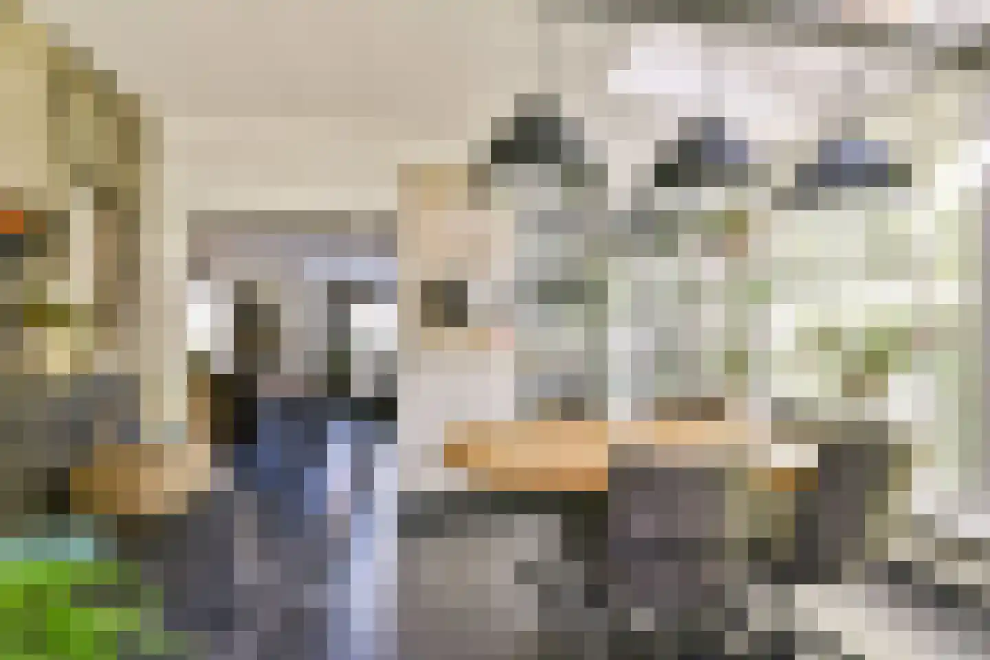 Kadedijk 116 Fijnaart thumbnail 13