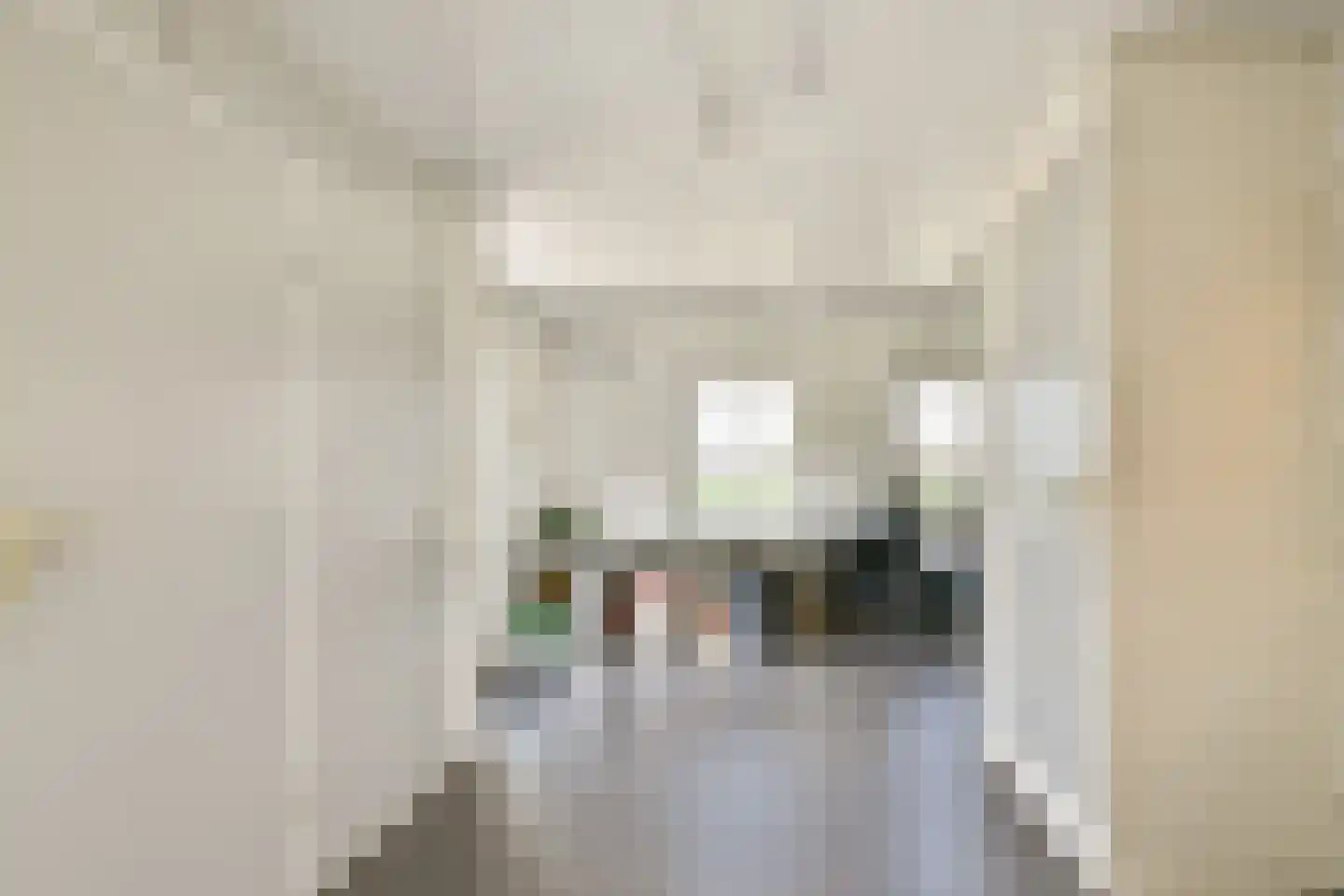 Kadedijk 116 Fijnaart thumbnail 17