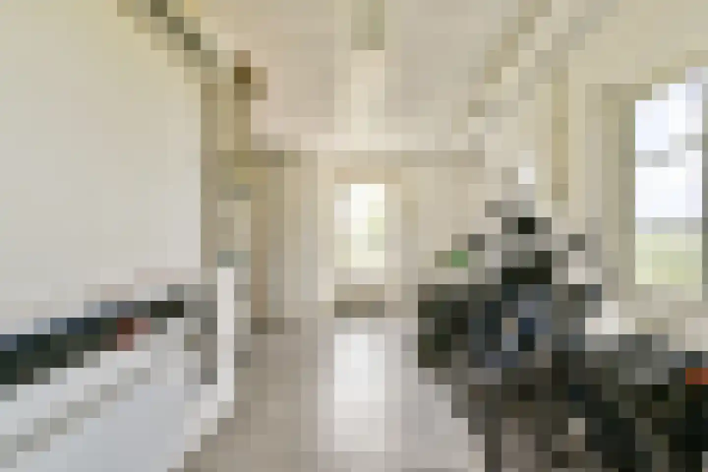 Kadedijk 116 Fijnaart thumbnail 18