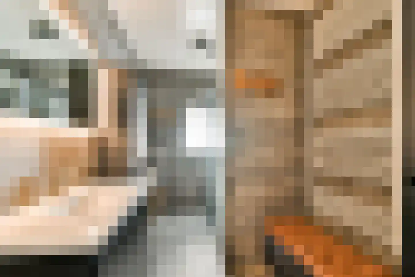 Kadedijk 116 Fijnaart thumbnail 19