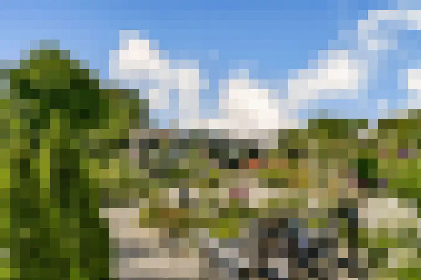 Kadedijk 116 Fijnaart thumbnail 24