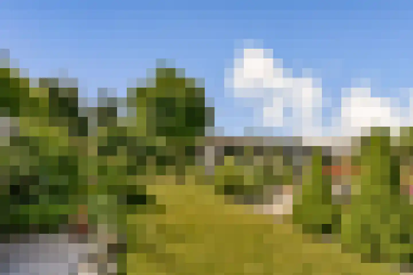 Kadedijk 116 Fijnaart thumbnail 25