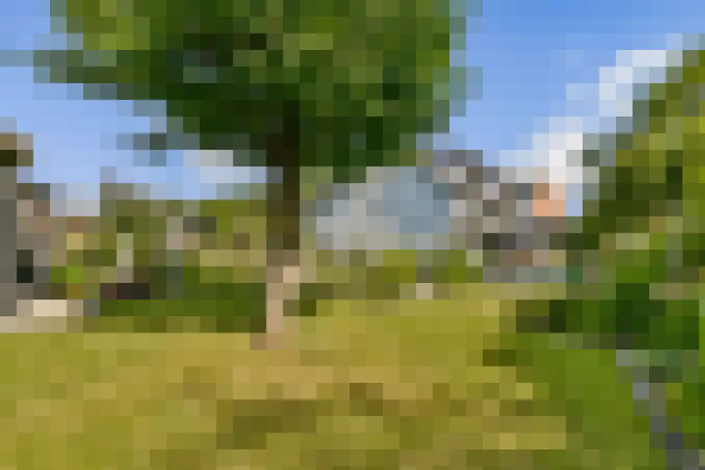 Kadedijk 116 Fijnaart thumbnail 26