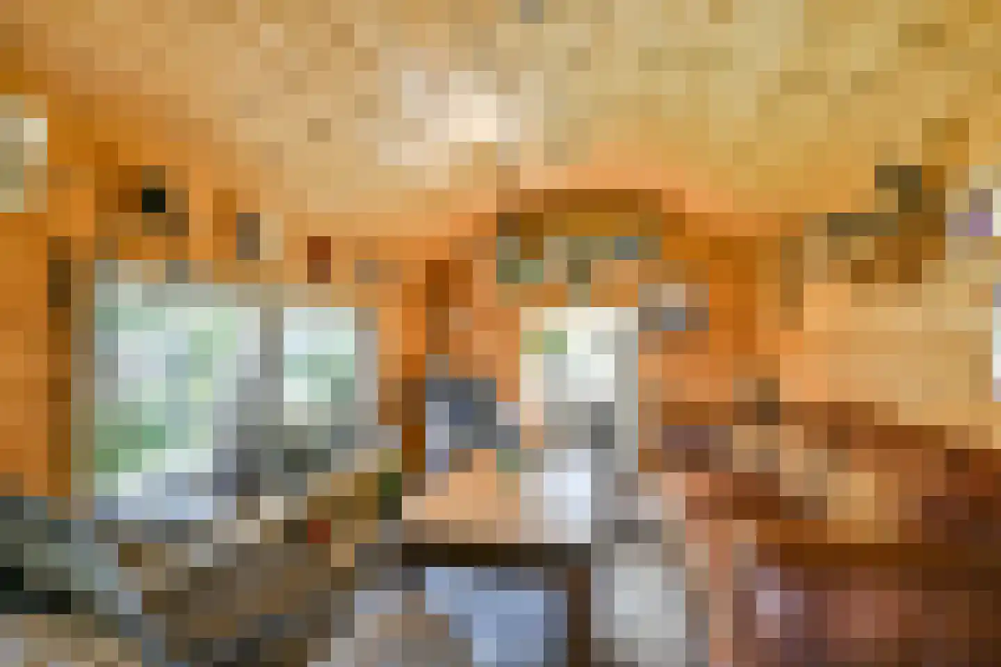 Kadedijk 116 Fijnaart thumbnail 32