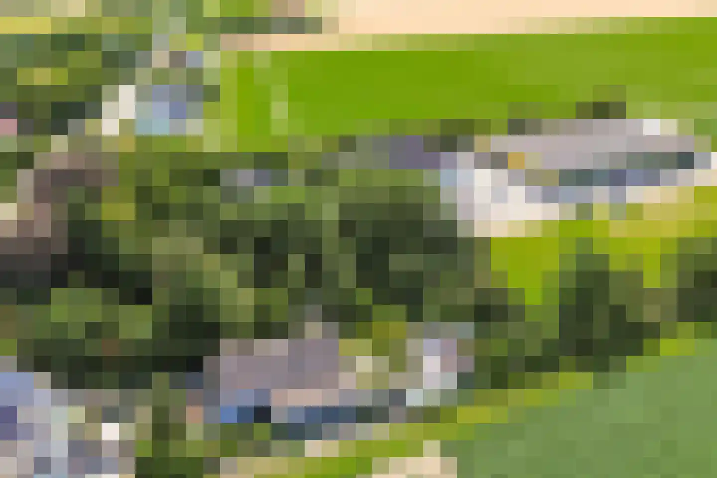 Kadedijk 116 Fijnaart thumbnail 33
