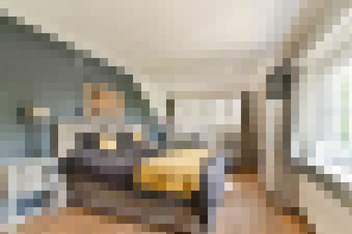 Kadedijk 116 Fijnaart thumbnail 36