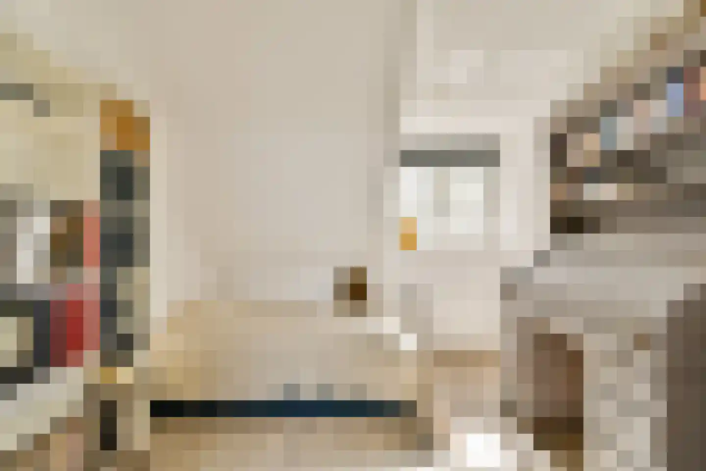 Kadedijk 116 Fijnaart thumbnail 41