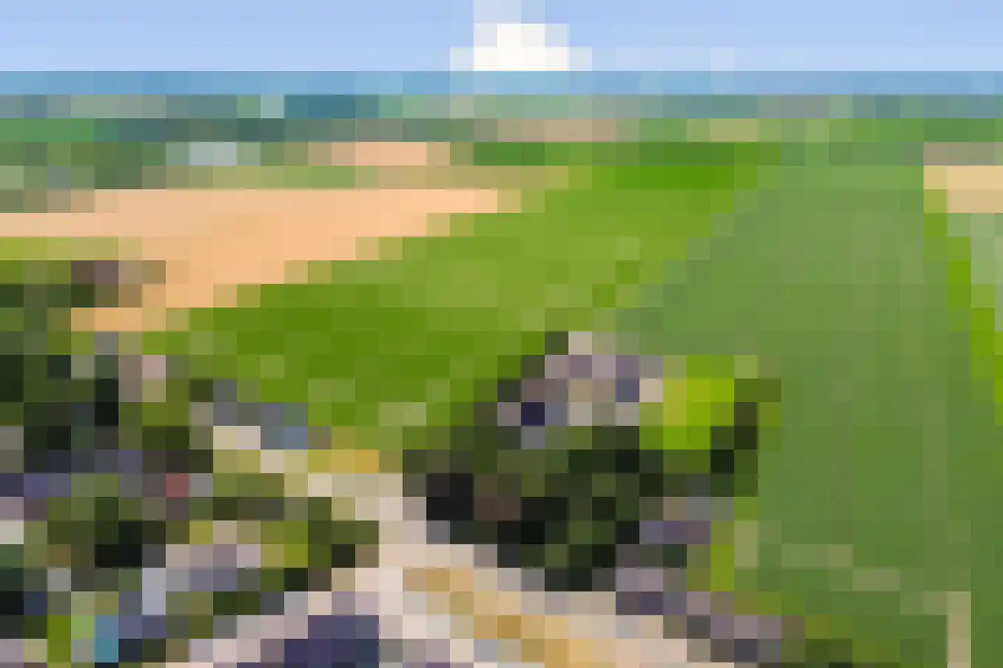 Kadedijk 116 Fijnaart thumbnail 51
