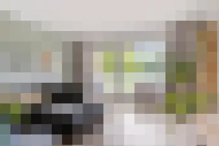 Kadedijk 30 Fijnaart thumbnail 15