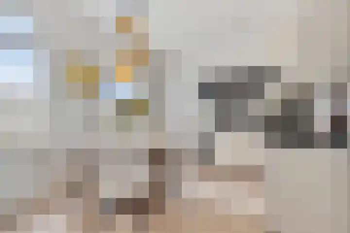 Kadedijk 30 Fijnaart thumbnail 16