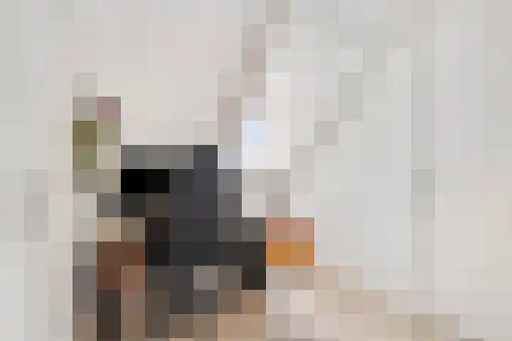 Kadedijk 30 Fijnaart thumbnail 21