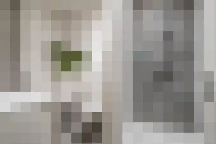 Kadedijk 30 Fijnaart thumbnail 29