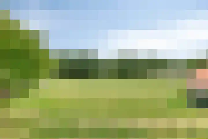 Kadedijk 30 Fijnaart thumbnail 34