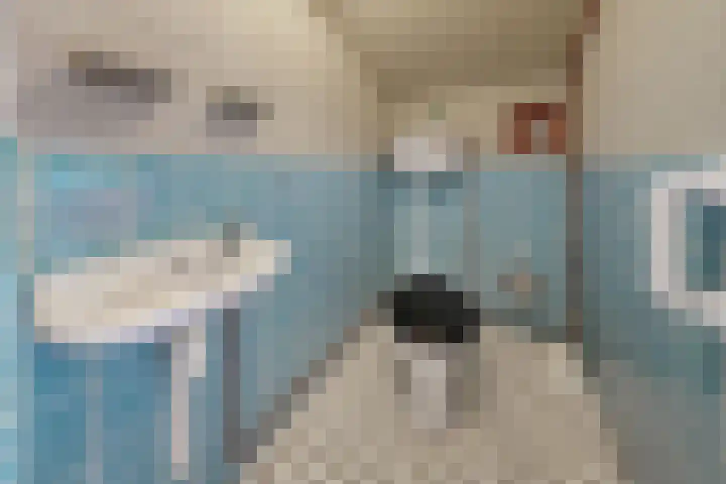 Kadedijk 46 Fijnaart thumbnail 34