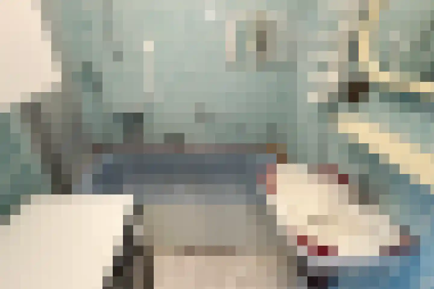 Kadedijk 46 Fijnaart thumbnail 38