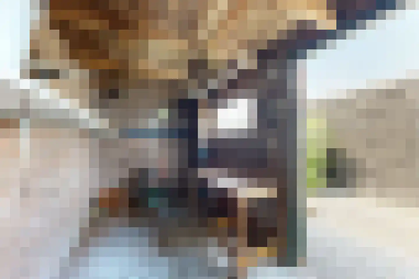 Kadedijk 46 Fijnaart thumbnail 41