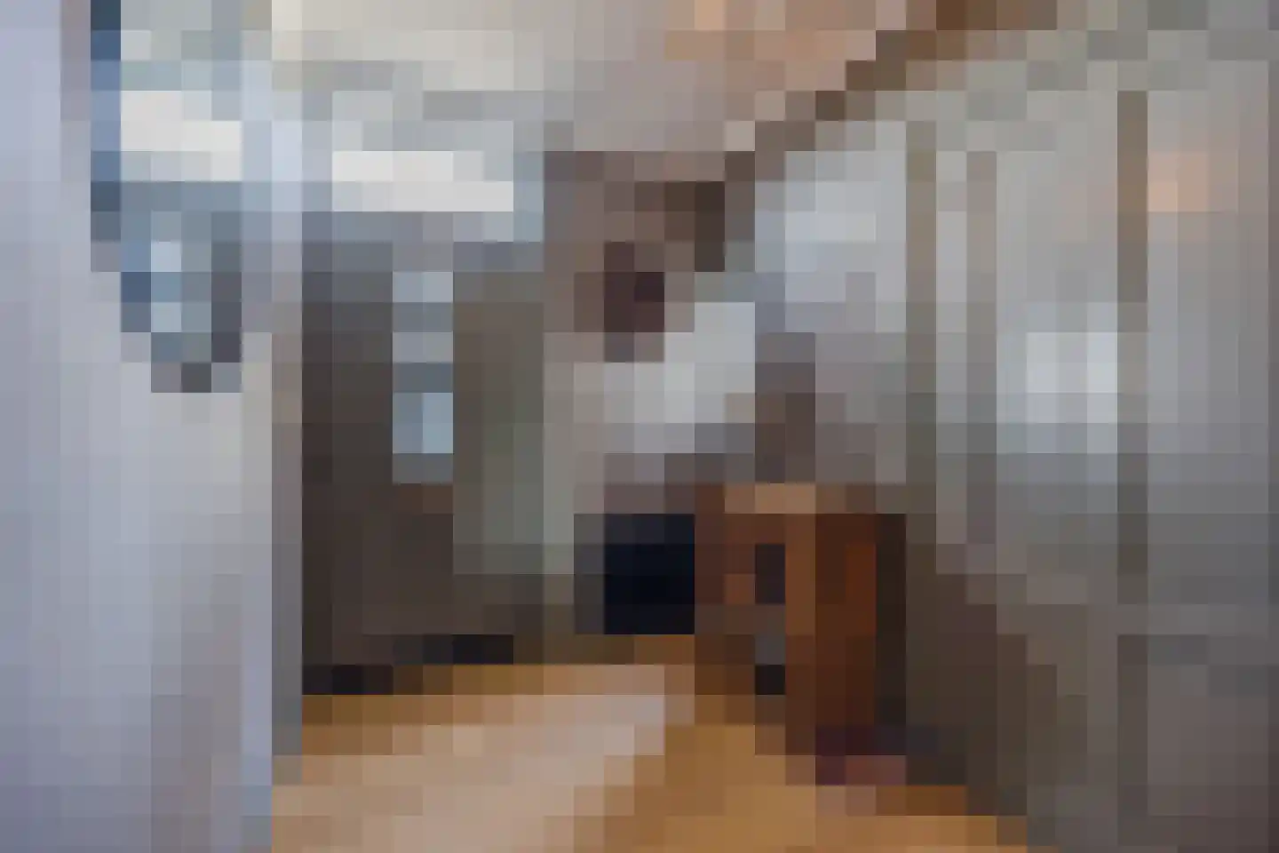 Kadedijk 56 Fijnaart thumbnail 10