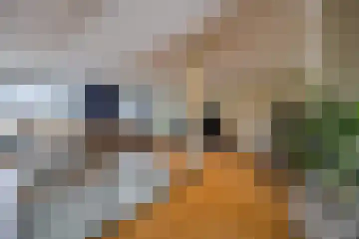 Kadedijk 56 Fijnaart thumbnail 17