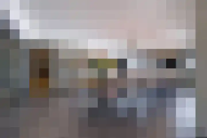 Kadedijk 56 Fijnaart thumbnail 20