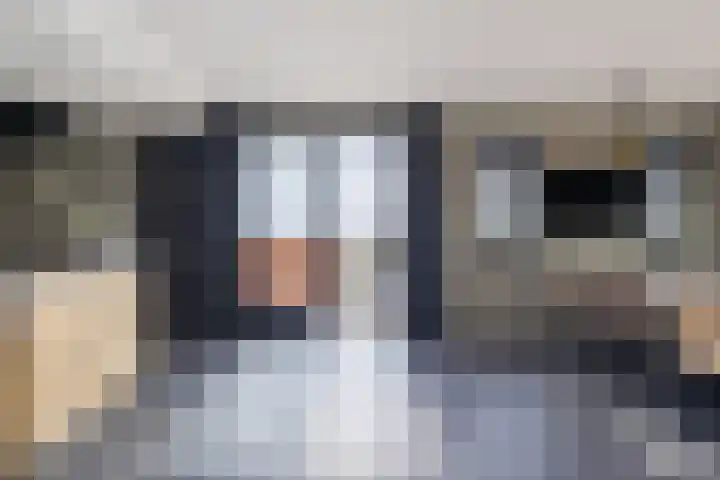 Kadedijk 56 Fijnaart thumbnail 24