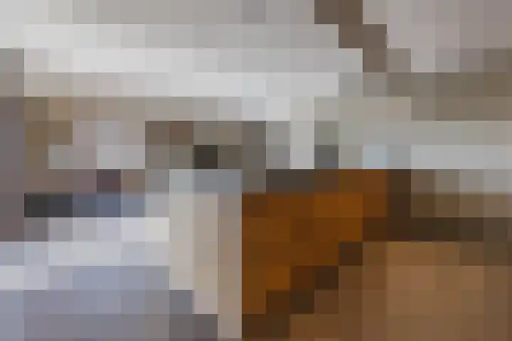 Kadedijk 56 Fijnaart thumbnail 26