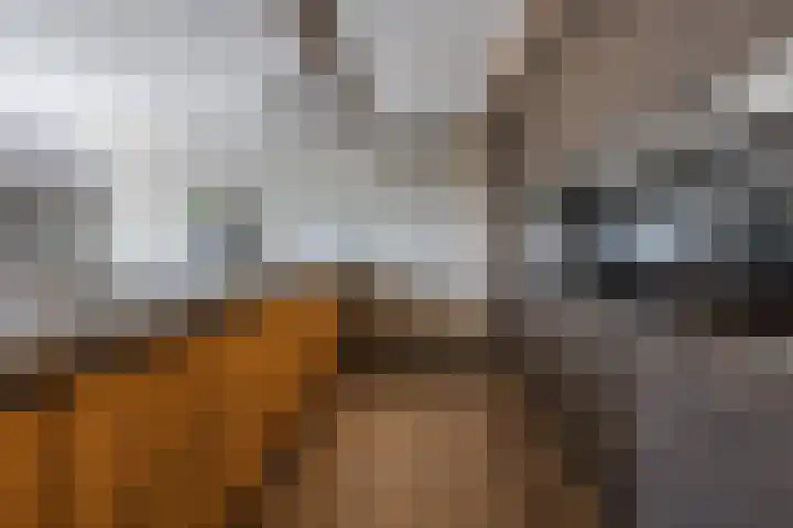 Kadedijk 56 Fijnaart thumbnail 27