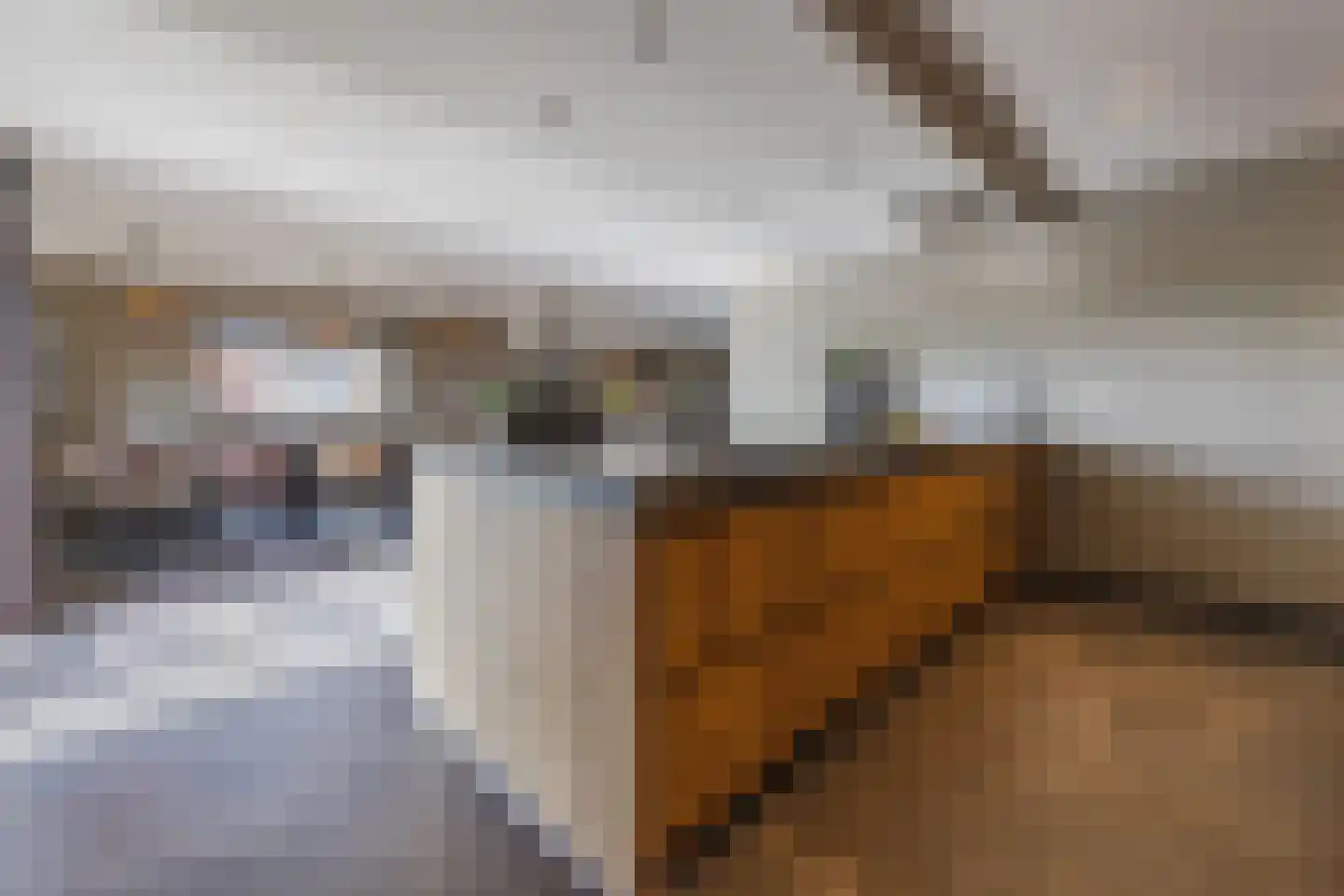 Kadedijk 56 Fijnaart thumbnail 28