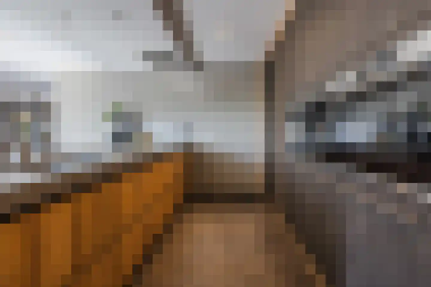 Kadedijk 56 Fijnaart thumbnail 29