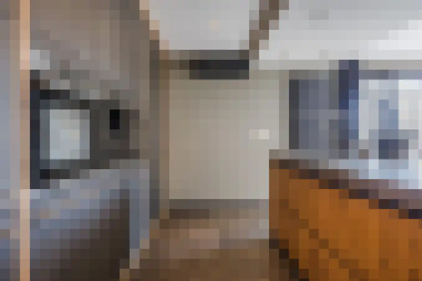 Kadedijk 56 Fijnaart thumbnail 30
