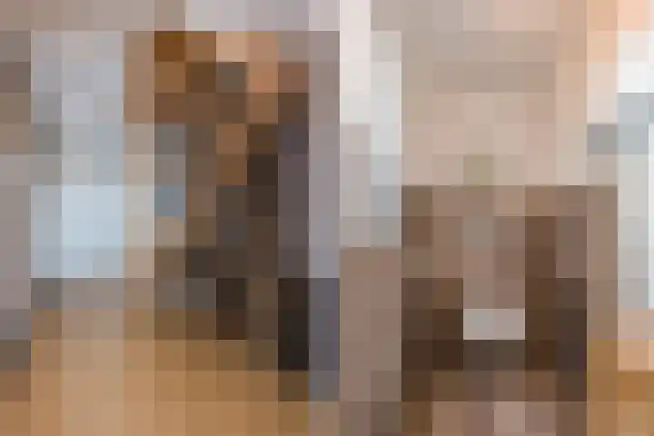 Kadedijk 56 Fijnaart thumbnail 37