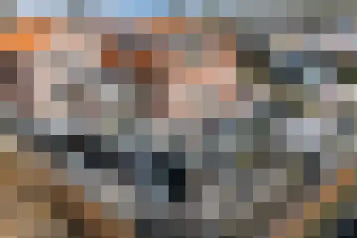 Kadedijk 56 Fijnaart thumbnail 4
