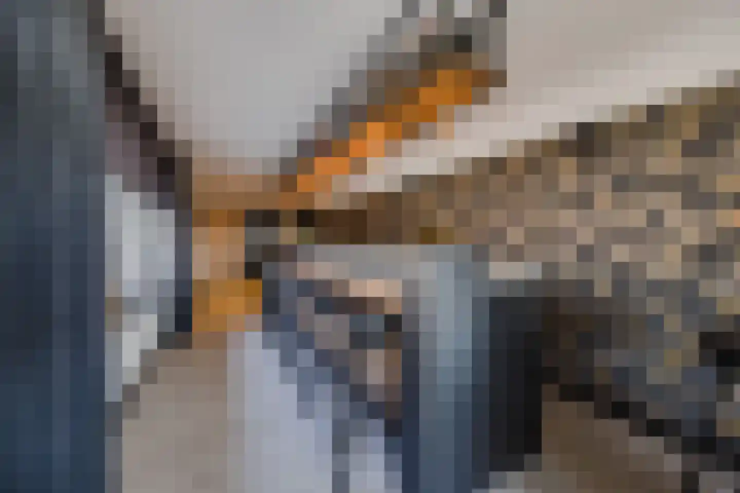 Kadedijk 56 Fijnaart thumbnail 4