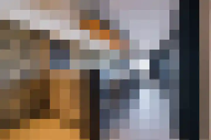 Kadedijk 56 Fijnaart thumbnail 40