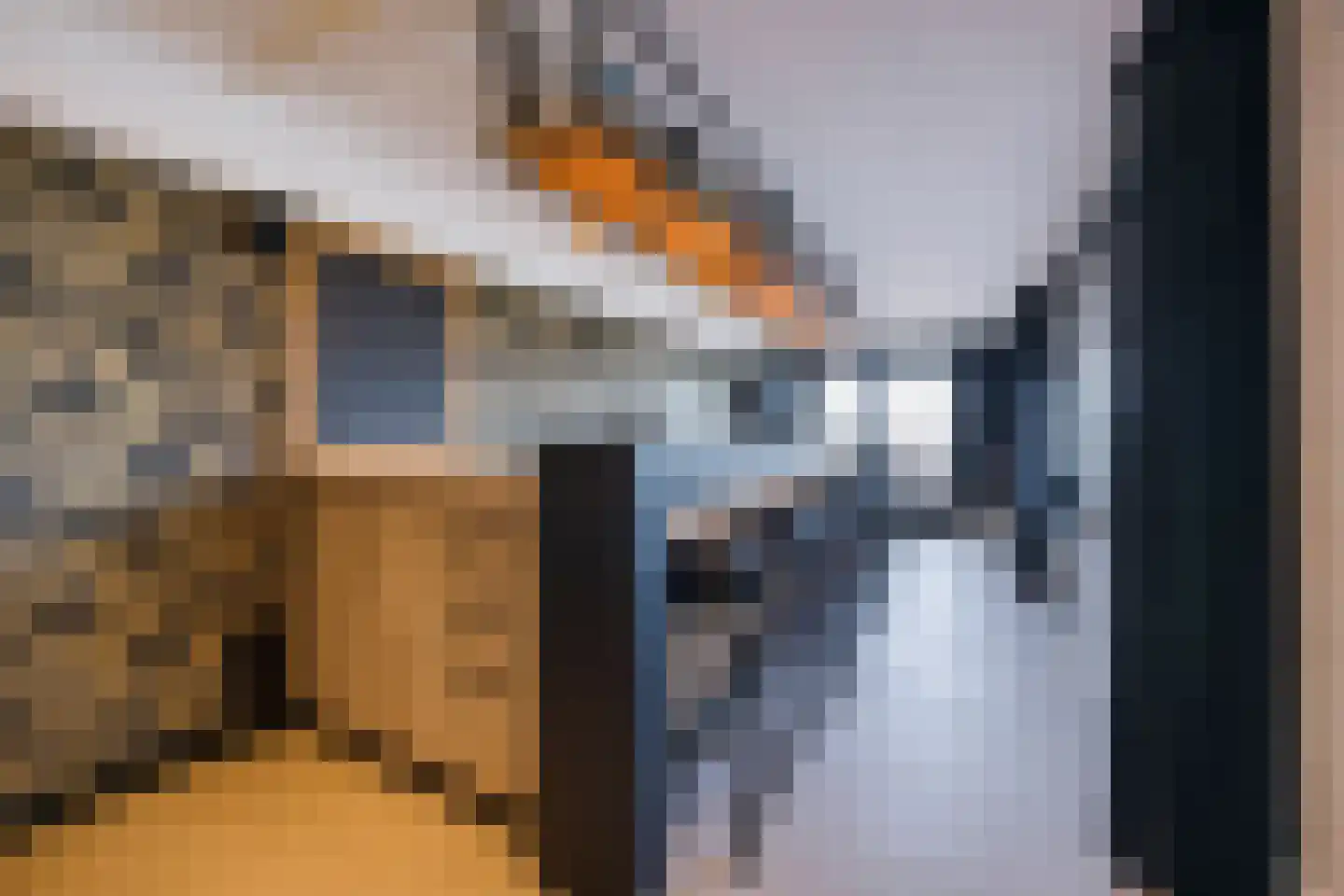 Kadedijk 56 Fijnaart thumbnail 40