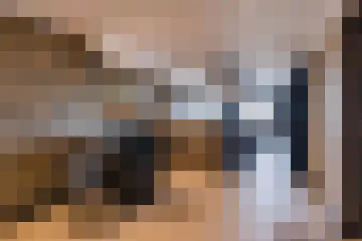 Kadedijk 56 Fijnaart thumbnail 41