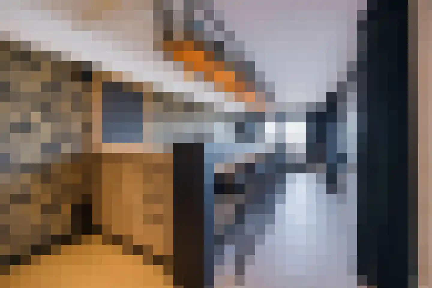 Kadedijk 56 Fijnaart thumbnail 42